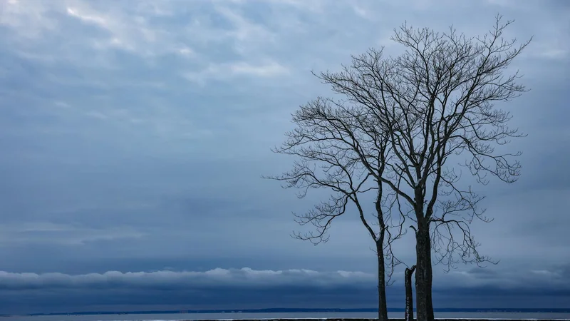 A Survival Story Rooted in Reality